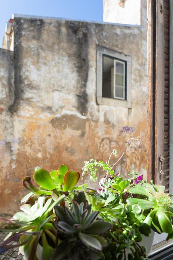 New! Nomad Dreams N.3 Apartment Cascais Bagian luar foto